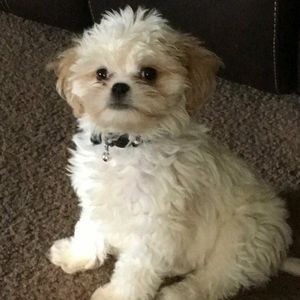 Meet your Posher, Velma